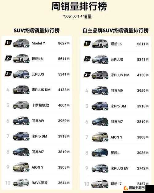 497799 欧洲版国产 SUV：高性价比之选